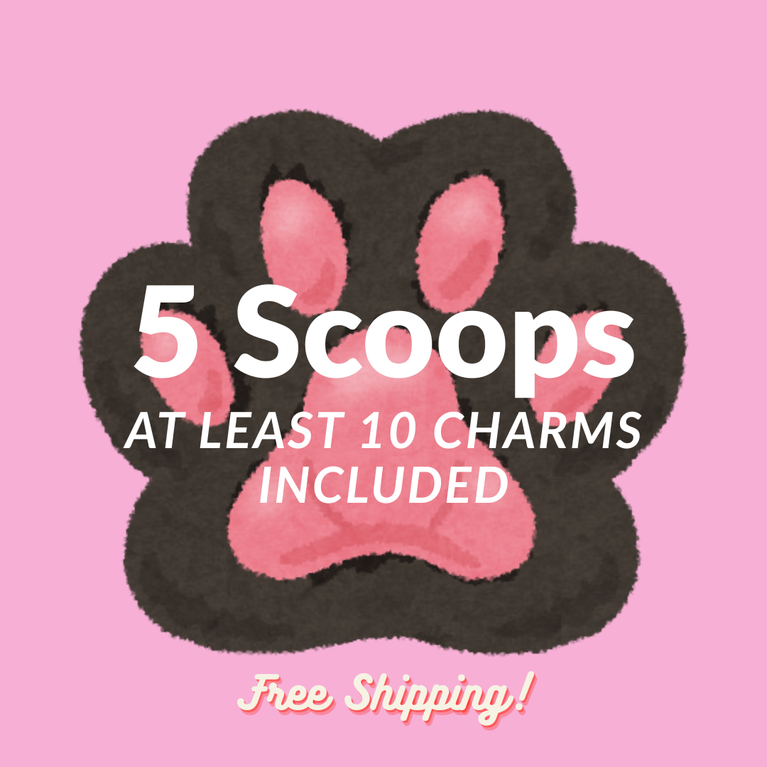 5 SCOOPS【best seller】